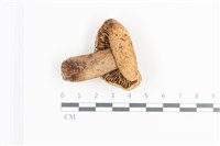 登錄號:F0036093藏品圖，第3張