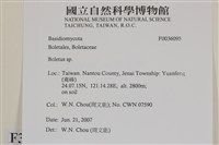 登錄號:F0036095藏品圖，第2張