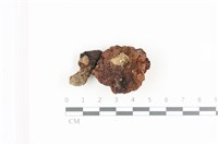 登錄號:F0036095藏品圖，第1張