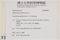 登錄號:F0036096藏品圖，第2張