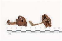 登錄號:F0036097藏品圖，第1張