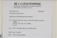 細鱗蘑菇藏品圖，第2張