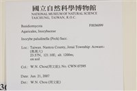 登錄號:F0036099藏品圖，第2張