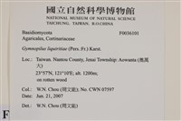 登錄號:F0036101藏品圖，第2張