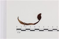 登錄號:F0036101藏品圖，第1張