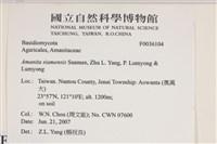 登錄號:F0036104藏品圖，第2張