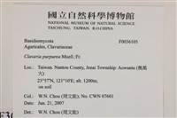 登錄號:F0036105藏品圖，第2張