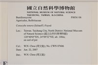 登錄號:F0036106藏品圖，第2張