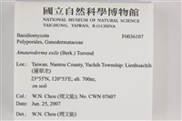 登錄號:F0036107藏品圖，第2張