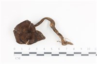 登錄號:F0036107藏品圖，第1張