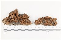 登錄號:F0036110藏品圖，第1張