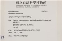 登錄號:F0036111藏品圖，第2張