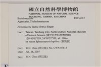 登錄號:F0036112藏品圖，第2張
