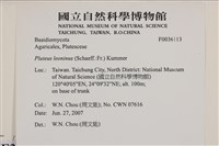 登錄號:F0036113藏品圖，第2張
