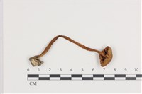 登錄號:F0036113藏品圖，第3張