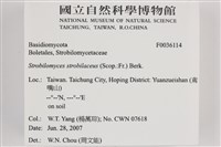 登錄號:F0036114藏品圖，第2張