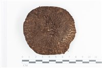 登錄號:F0036114藏品圖，第1張