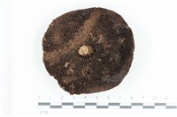 登錄號:F0036114藏品圖，第3張