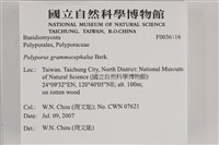 登錄號:F0036116藏品圖，第2張