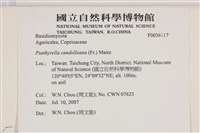 登錄號:F0036117藏品圖，第2張