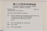 登錄號:F0036118藏品圖，第2張