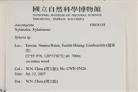 炭角菌屬藏品圖，第2張