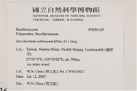 登錄號:F0036120藏品圖，第2張