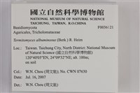 登錄號:F0036121藏品圖，第2張