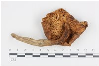 登錄號:F0036121藏品圖，第3張