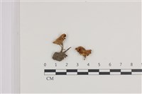 登錄號:F0036122藏品圖，第1張