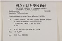 登錄號:F0036123藏品圖，第2張