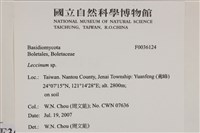 登錄號:F0036124藏品圖，第2張