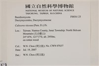 登錄號:F0036125藏品圖，第2張