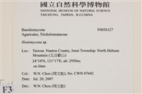 登錄號:F0036127藏品圖，第2張