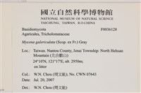 登錄號:F0036128藏品圖，第2張