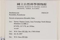 登錄號:F0036129藏品圖，第2張
