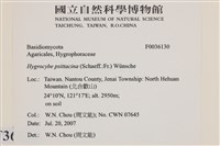 登錄號:F0036130藏品圖，第2張
