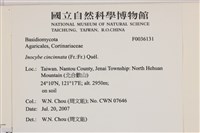 登錄號:F0036131藏品圖，第2張