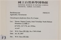 登錄號:F0036133藏品圖，第2張