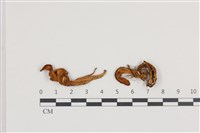 登錄號:F0036133藏品圖，第1張