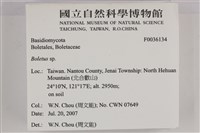 登錄號:F0036134藏品圖，第2張