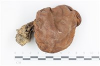 登錄號:F0036134藏品圖，第1張