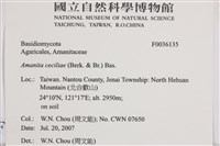 登錄號:F0036135藏品圖，第2張