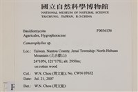 登錄號:F0036136藏品圖，第2張
