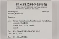 登錄號:F0036137藏品圖，第2張