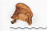 登錄號:F0036137藏品圖，第1張