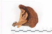 登錄號:F0036137藏品圖，第3張