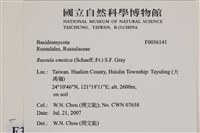 登錄號:F0036141藏品圖，第2張