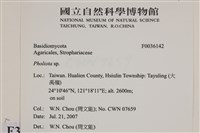 登錄號:F0036142藏品圖，第2張