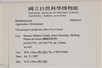 登錄號:F0036143藏品圖，第2張